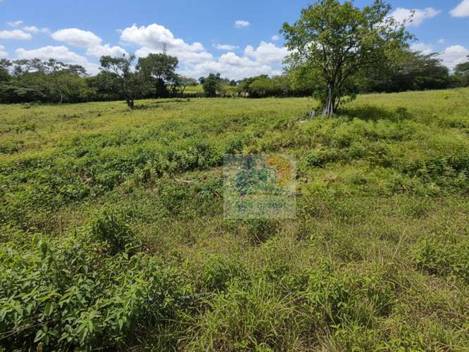 Terreno en Venta en La Guácima, 28,306 m² para Desarrollo Residencial - Imagen 5
