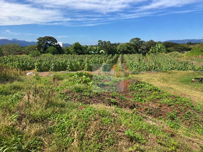 Terreno en Venta en La Guácima, 28,306 m² para Desarrollo Residencial - Imagen 6