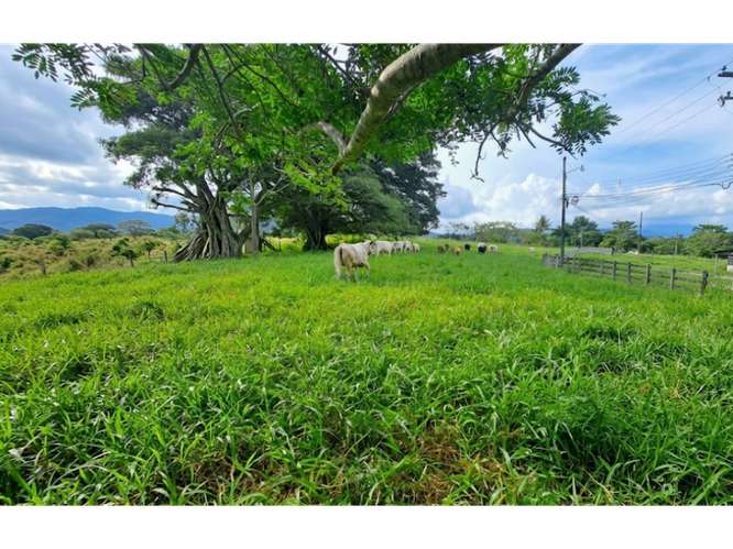 VENTA DE LOTE, USO MIXTO, ALAJUELA, ATENAS, SANTA EULALIA - Imagen 2