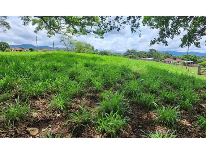 VENTA DE LOTE, USO MIXTO, ALAJUELA, ATENAS, SANTA EULALIA - Imagen 3