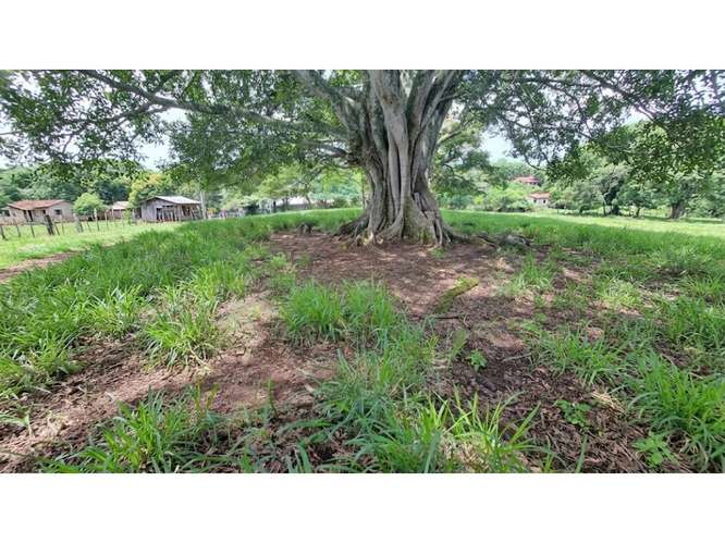 VENTA DE LOTE, USO MIXTO, ALAJUELA, ATENAS, SANTA EULALIA - Imagen 5