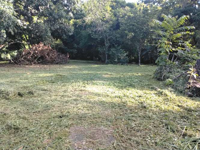 PARCELA EN VENTA EN GUACALILLO | 3.820 M² CERCA DE LAS PLAYAS | P659 - Imagen 3