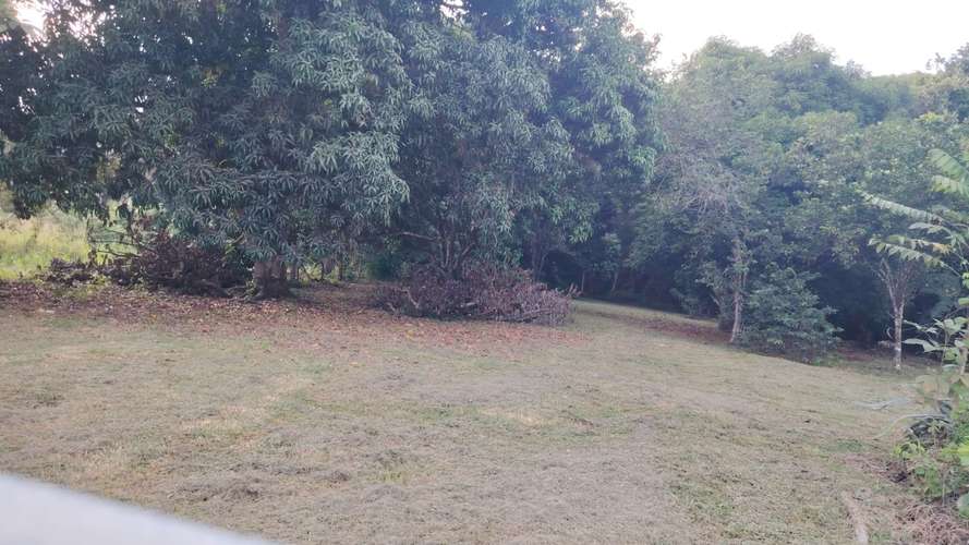 PARCELA EN VENTA EN GUACALILLO | 3.820 M² CERCA DE LAS PLAYAS | P659 - Imagen 5