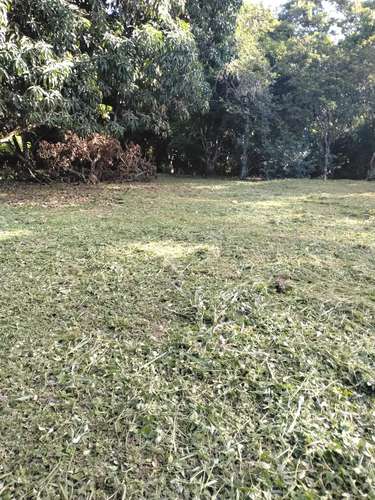 PARCELA EN VENTA EN GUACALILLO | 3.820 M² CERCA DE LAS PLAYAS | P659 - Imagen 4