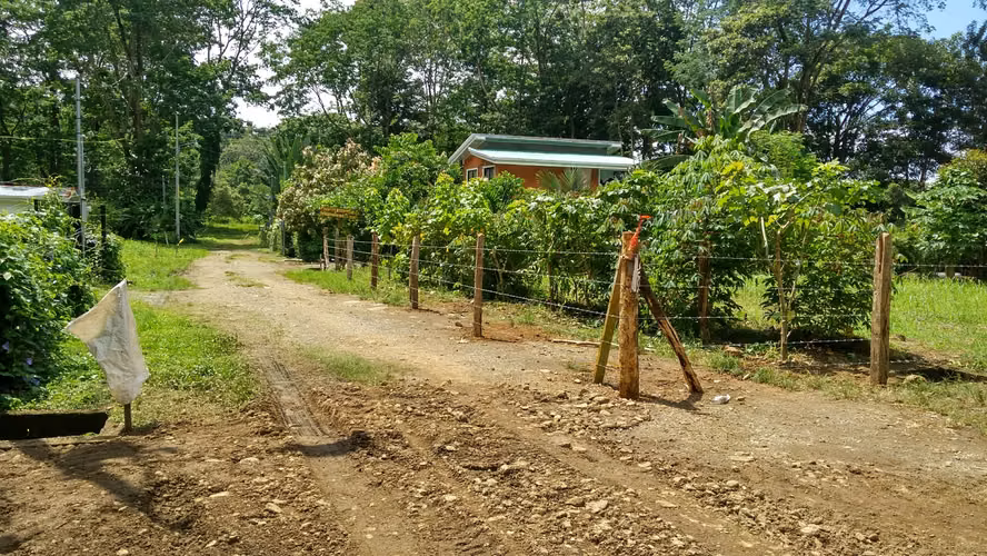 Terreno 1.000 m² en Uvita de Osa con Proyecto de Hotel Boutique Incluido – $239,000 - Imagen 2