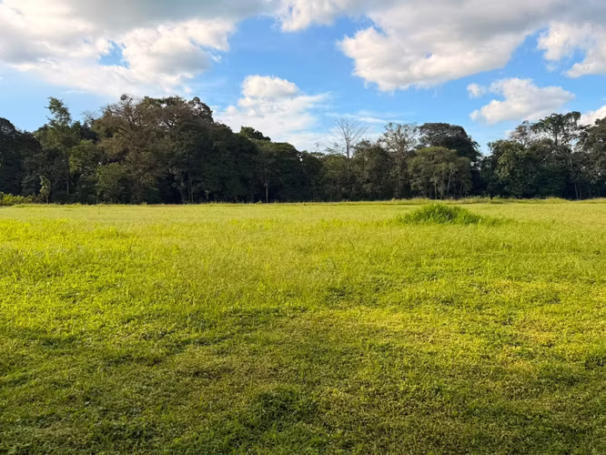 ¡Propiedad en venta en La Fortuna de San Carlos! - Imagen 4