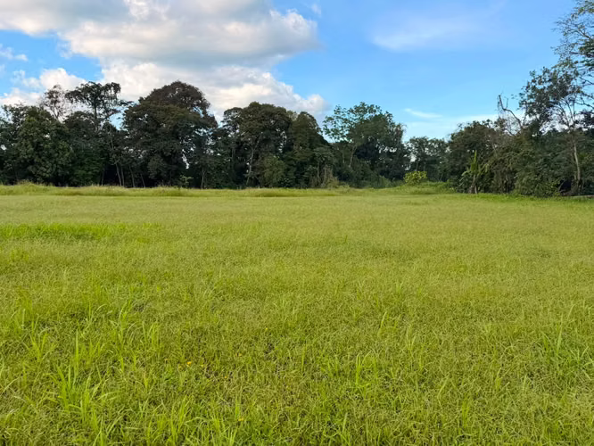 Property for sale in La Fortuna de San Carlos!