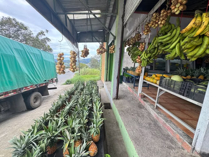 Venta de propiedad comercial (Bodega) San Nicolás de Cartago - Imagen 9