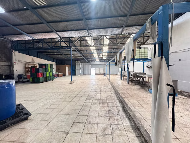 Venta de propiedad comercial (Bodega) San Nicolás de Cartago - Imagen 3
