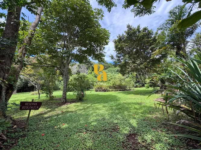 Amplia propiedad de 10,200m2 de terreno en San Isidro de Heredia. Rodeada de entorno natural donde prevalece la paz  - Imagen 11