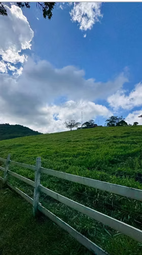 ESPECTACULAR FINCA PRODUCTIVA EN VENTA – PIEDADES SUR, SAN RAMÓN - Imagen 9