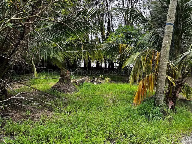 Venta de Lote en Limón-Centro.  - Imagen 6