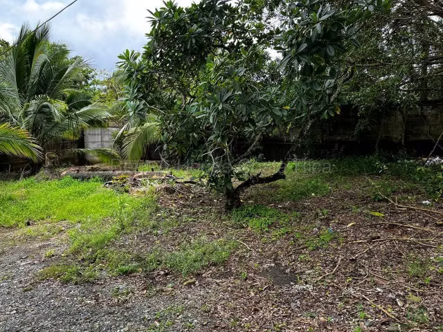 Venta de Lote en Limón-Centro.  - Imagen 4