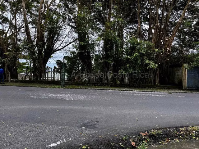Venta de Lote en Limón-Centro.  - Imagen 5