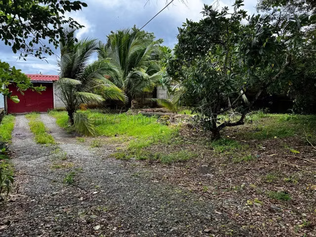 Venta de Lote en Limón-Centro.  - Imagen 7