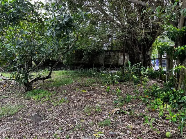 Venta de Lote en Limón-Centro.  - Imagen 3