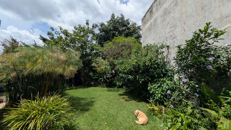 Se vende casa de una sola planta en Residencial Puruses, Curridabat  - Imagen 5