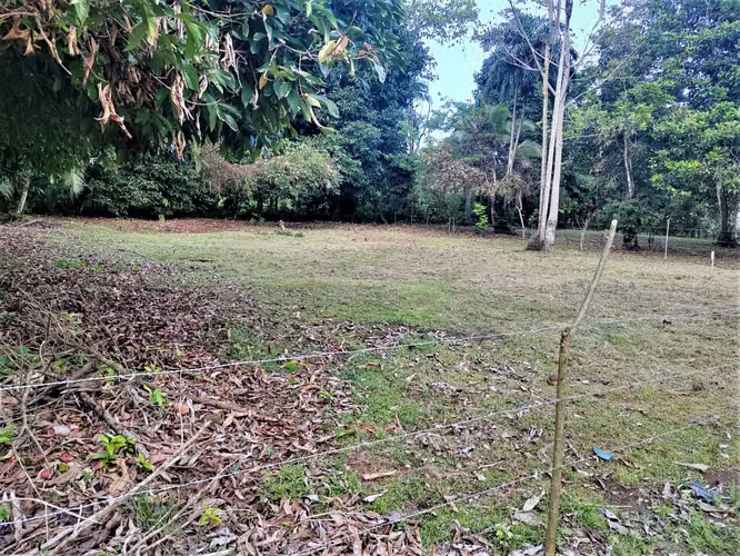 Lotes titulados en calle privada con vista al mar, a 400 m de la playa y a 10 min de la famosa Laguna de Gandoca. - Imagen 10