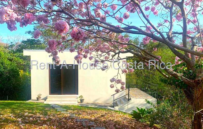 VENTA CASA MODERNA DE 1 PLANTA EN PIEDADES DE SANTA ANA | ESTUDIO MUSICAL INDEPENDIENTE | 640 m² DE LOTE | DOBLE ALTURA  - Imagen 15