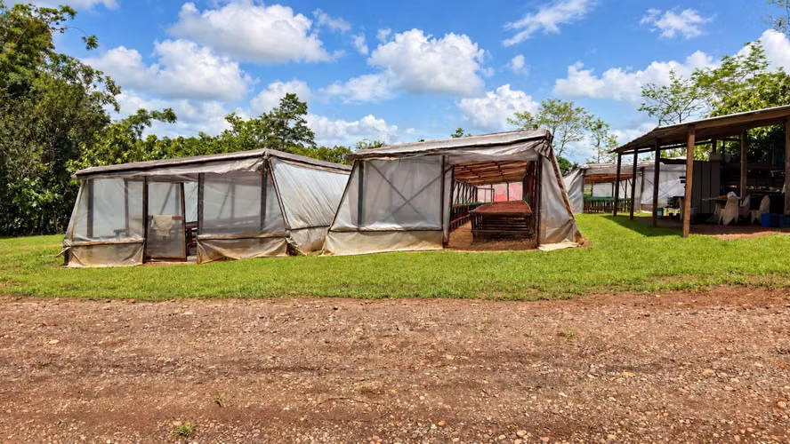 ¡Oportunidad! Finca de Cacao Premium de Exportación con Potencial Turístico Boutique en San Carlos - Imagen 6