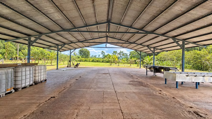 ¡Oportunidad! Finca de Cacao Premium de Exportación con Potencial Turístico Boutique en San Carlos - Imagen 8
