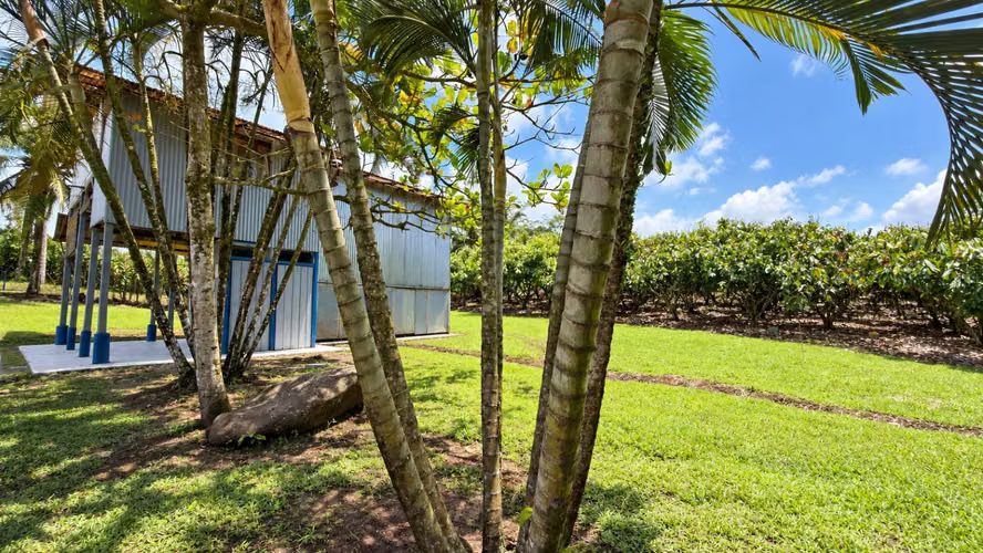 ¡Oportunidad! Finca de Cacao Premium de Exportación con Potencial Turístico Boutique en San Carlos - Imagen 10