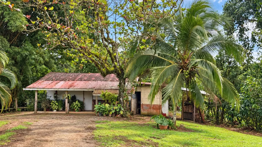 ¡Oportunidad! Finca de Cacao Premium de Exportación con Potencial Turístico Boutique en San Carlos - Imagen 9