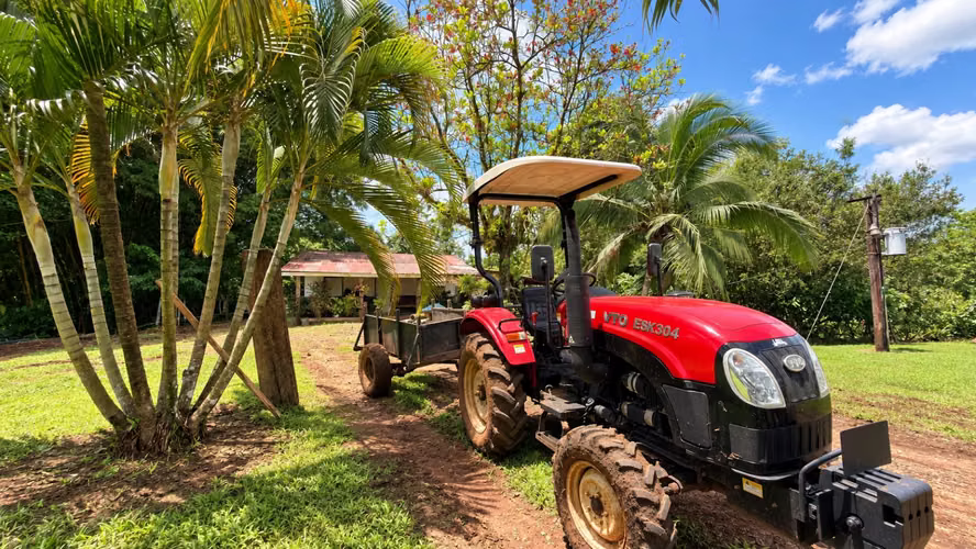 ¡Oportunidad! Finca de Cacao Premium de Exportación con Potencial Turístico Boutique en San Carlos - Imagen 7