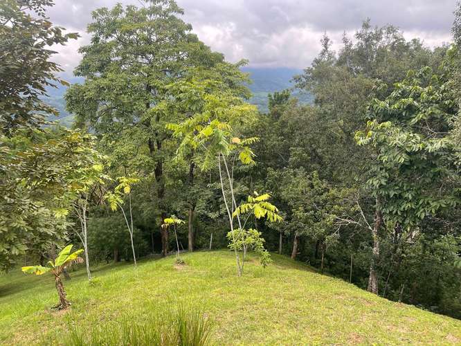 Propiedad en venta. Lista para desarrollar un proyecto turístico, de bienestar o de retiros! - Imagen 16
