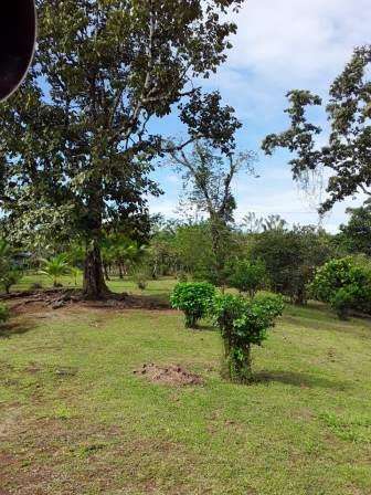 ID #1420 GUACIMO LIMON HERMOSA PROPIEDAD CON CASA 6115m2