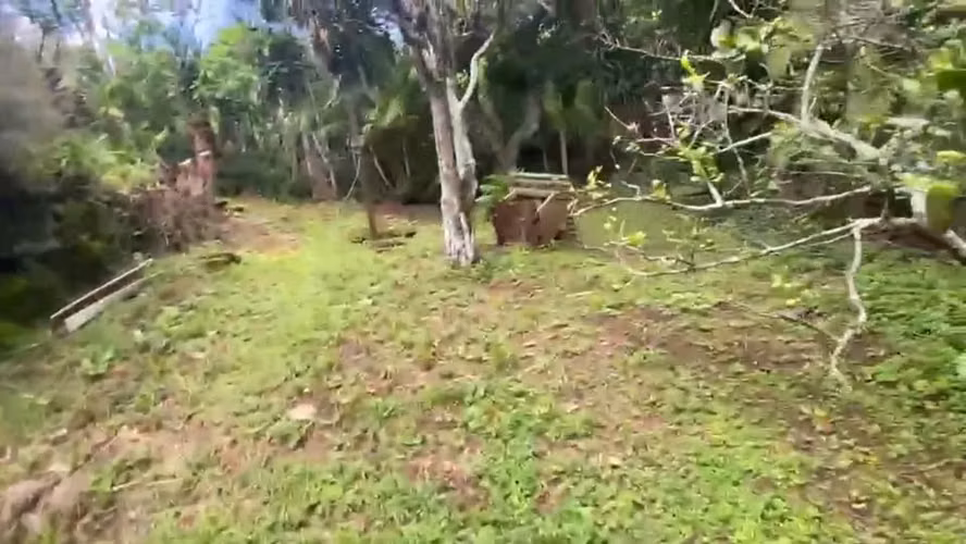 ID #1611 SAN JUAN LA UNION TRES RIOS LINDO Y AMPLIO LOTE - Imagen 5