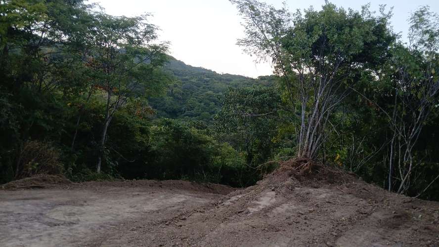 Finca en Sardinal en Carrillo usos varios - Imagen 8