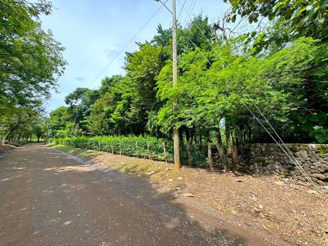 Venta de Terrenos residénciales en La Candelaria, Santa Cruz (MV)