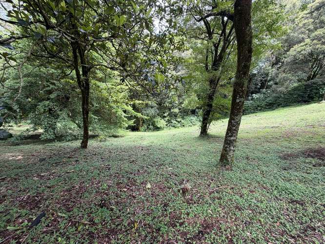 Venta de quinta ubicada en Residencial Mirapol. Poás de Alajuela - Imagen 3