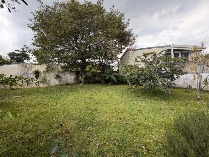 Casa en Alquiler en San Pedro con Uso de Suelo Mixto – Amplio Parqueo