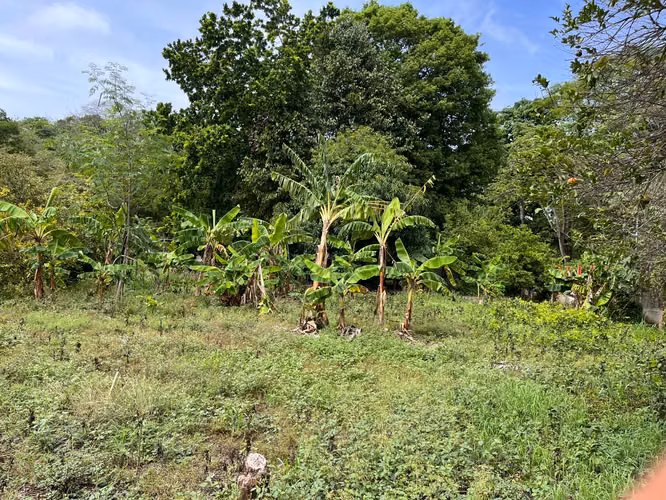 Terreno de Alta Plusvalía en Artola, Guanacaste – Ideal para Desarrollo de Condominios o Airbnb (Precio negociable) - Imagen 5