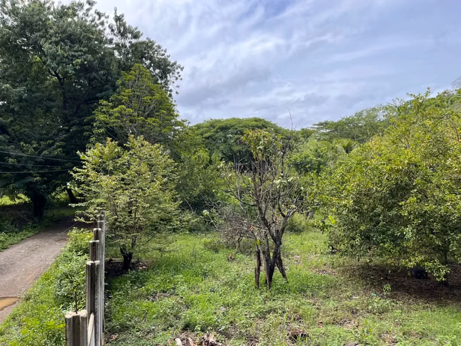 Terreno de Alta Plusvalía en Artola, Guanacaste – Ideal para Desarrollo de Condominios o Airbnb (Precio negociable) - Imagen 2
