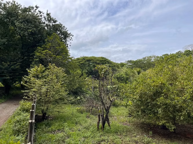 Terreno de Alta Plusvalía en Artola, Guanacaste – Ideal para Desarrollo de Condominios o Airbnb (Precio negociable) - Imagen 7