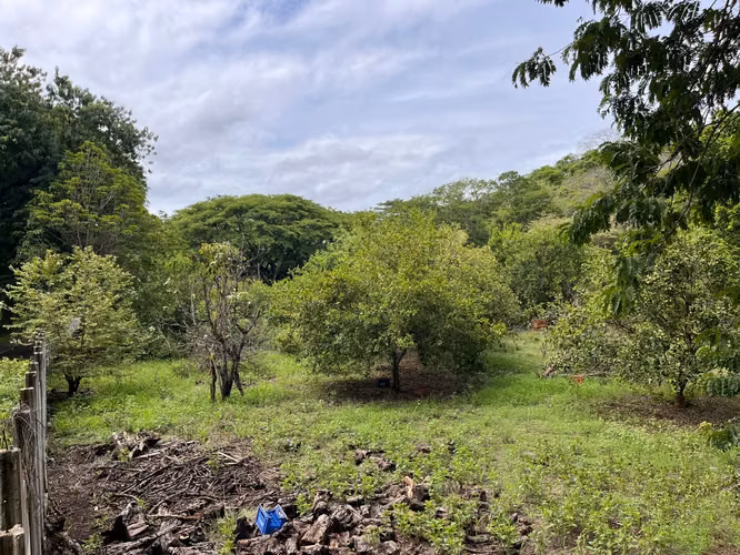 Terreno de Alta Plusvalía en Artola, Guanacaste – Ideal para Desarrollo de Condominios o Airbnb (Precio negociable) - Imagen 8