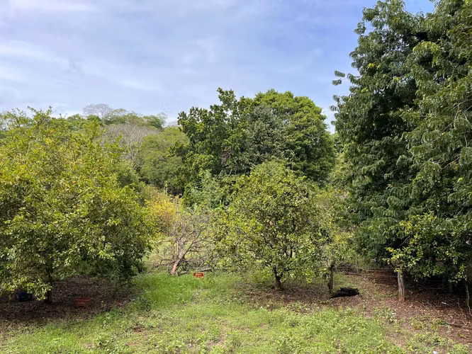 Terreno de Alta Plusvalía en Artola, Guanacaste – Ideal para Desarrollo de Condominios o Airbnb (Precio negociable) - Imagen 6