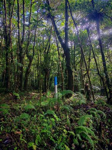 Quintas de montaña de 4.606 a 6.031 m² en Bajos del Toro, Sarchí