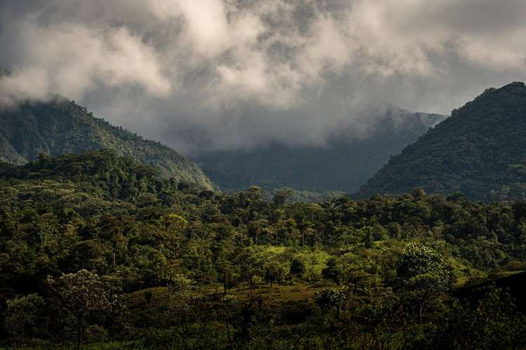 Quintas de montaña de 4.606 a 6.031 m² en Bajos del Toro, Sarchí