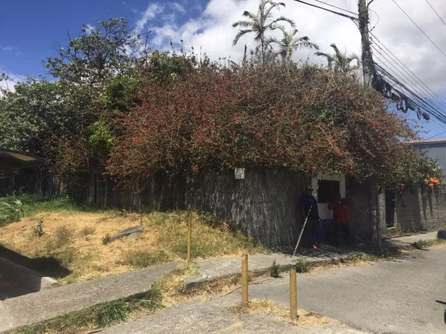 TERRENO DE GRAN POTENCIAL PARA DESARROLLO JUNTO A TERRAMALL Y LA AUTOPISTA