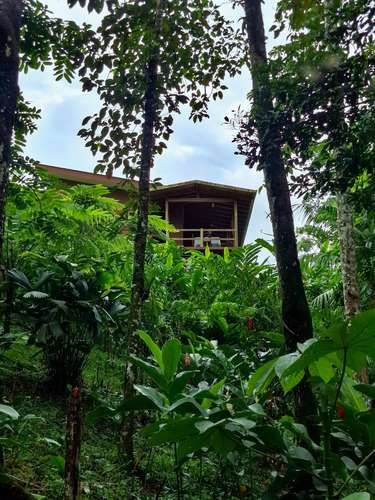 Rainforest Home For Rent – La Tigra, San Carlos, Costa Rica