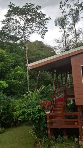 Rainforest Home For Rent – La Tigra, San Carlos, Costa Rica