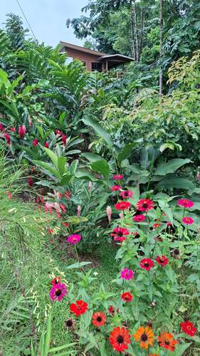 Rainforest Home For Rent – La Tigra, San Carlos, Costa Rica