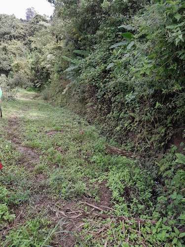  ¡GANGA / OPORTUNIDAD EN SAN JERÓNIMO DE CACHÍ, PARAÍSO!  - Imagen 4