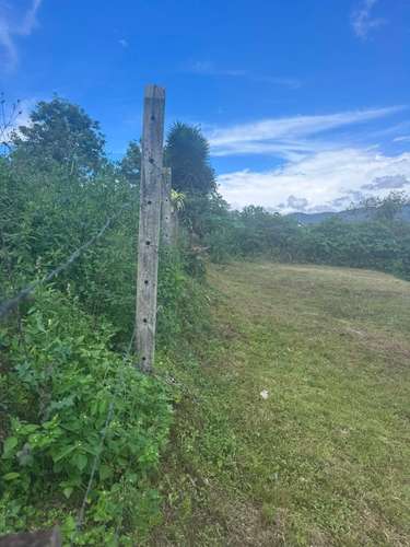 Venta bello lote Concepción Tres Ríos - Imagen 2