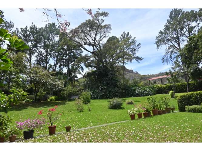 Hermosa propiedad de una planta rodeada de jardines, Santa Ana - Imagen 13