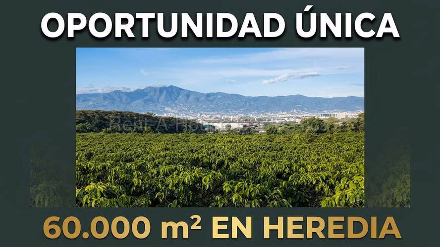 TERRENO PARA DESARROLLO EN SAN PABLO DE HEREDIA - Imagen 3
